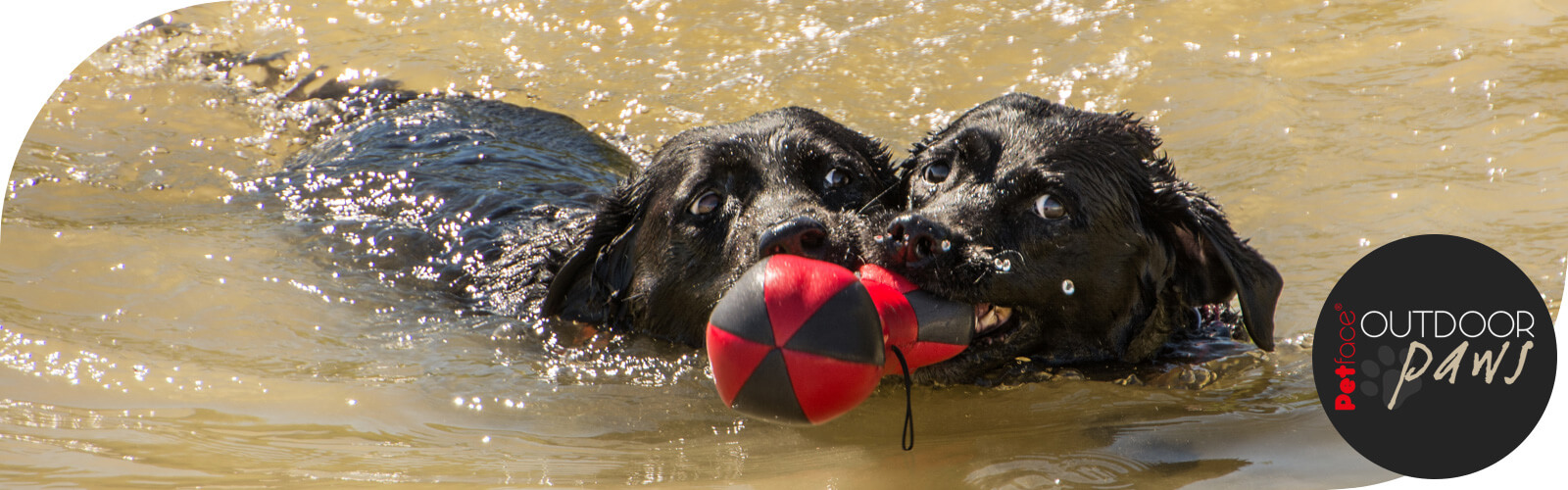 Outdoor Paws - Hondenspeeltjes Outdoor Paws - Speelgoed voor honden