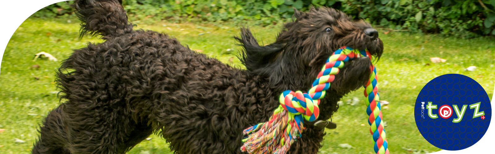Toyz - Hondenspeeltjes Toyz - Speelgoed voor honden